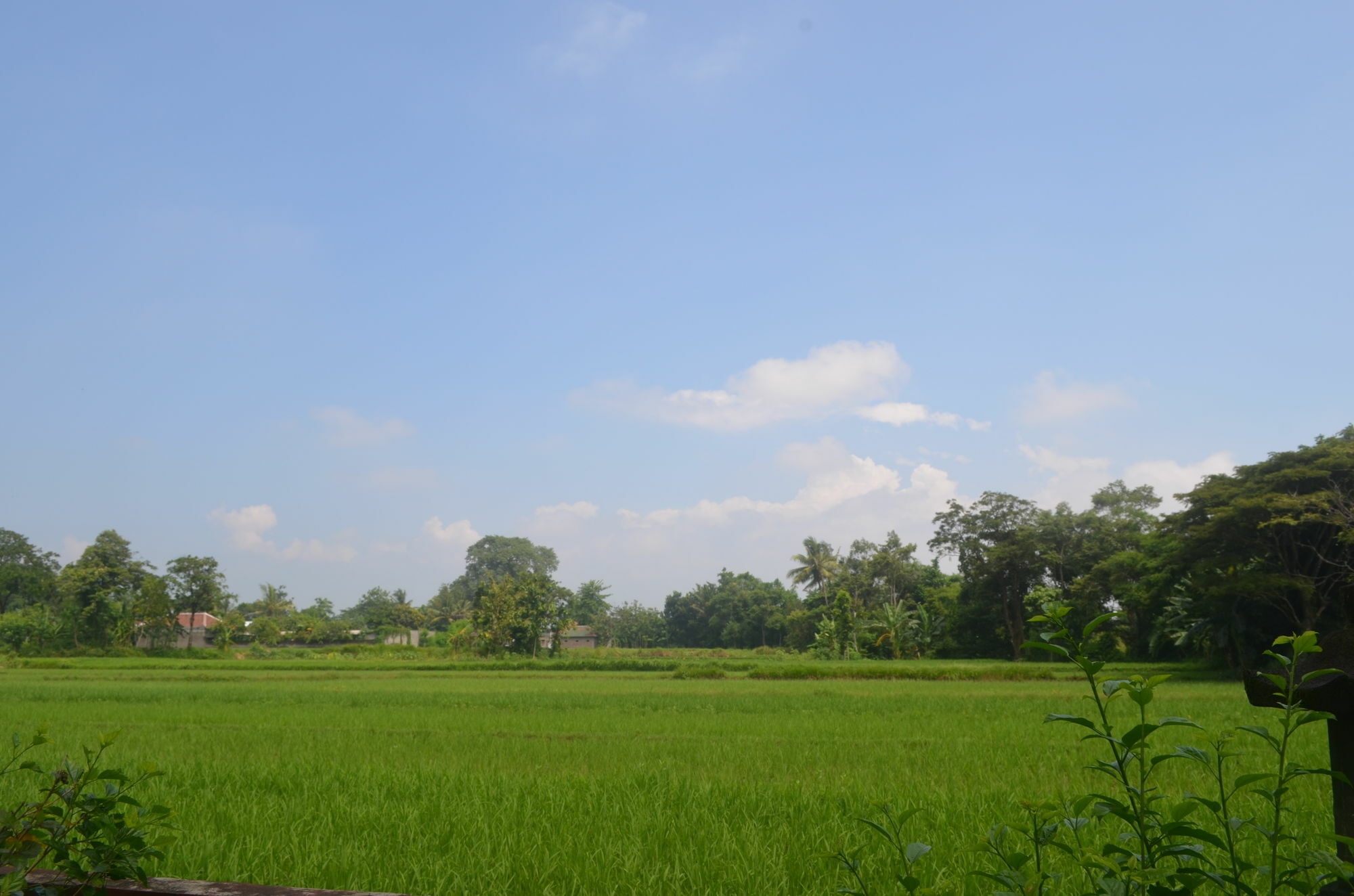 Poeri Devata Resort Hotel Prambanan Luaran gambar
